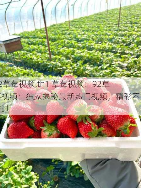 92草莓视频,th1 草莓视频：92草莓视频：独家揭秘最新热门视频，精彩不容错过