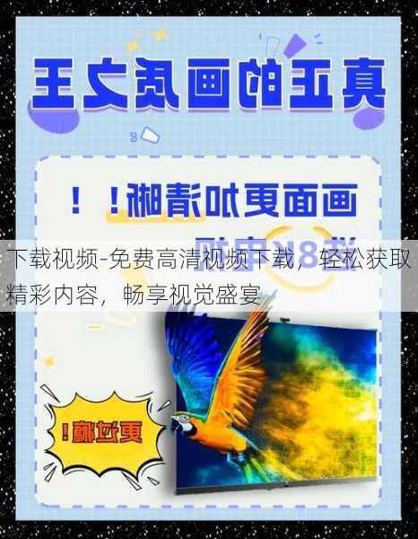 下载视频-免费高清视频下载，轻松获取精彩内容，畅享视觉盛宴