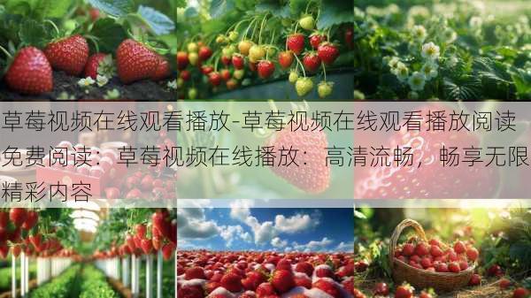 草莓视频在线观看播放-草莓视频在线观看播放阅读免费阅读：草莓视频在线播放：高清流畅，畅享无限精彩内容