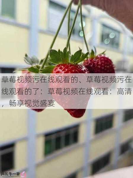 草莓视频污在线观看的、草莓视频污在线观看的了：草莓视频在线观看：高清，畅享视觉盛宴