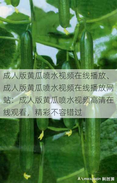成人版黄瓜喷水视频在线播放、成人版黄瓜喷水视频在线播放网站:成人版黄瓜喷水视频高清在线观看,精彩不容错过
