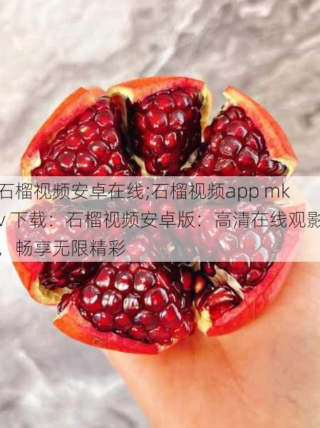 石榴视频安卓在线;石榴视频app mkv 下载：石榴视频安卓版：高清在线观影，畅享无限精彩
