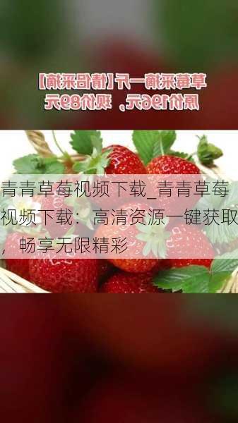 青青草莓视频下载_青青草莓视频下载：高清资源一键获取，畅享无限精彩