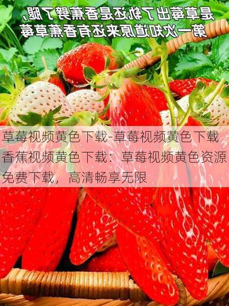 草莓视频黄色下载-草莓视频黄色下载香蕉视频黄色下载:草莓视频黄色资源免费下载,高清畅享无限