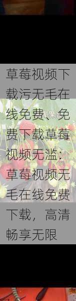 草莓视频下载污无毛在线免费、免费下载草莓视频无滥:草莓视频无毛在线免费下载,高清畅享无限