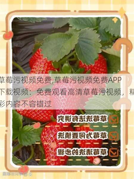 草莓污视频免费,草莓污视频免费APP下载视频：免费观看高清草莓污视频，精彩内容不容错过
