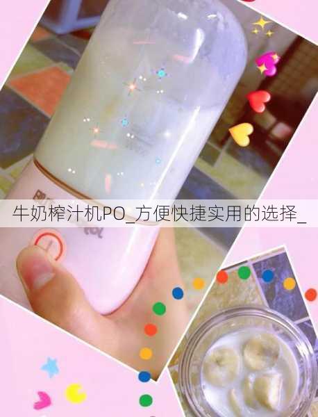 牛奶榨汁机PO_方便快捷实用的选择_