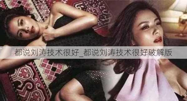 都说刘涛技术很好_都说刘涛技术很好破解版