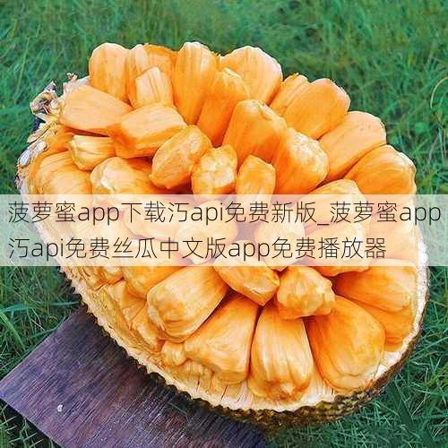 菠萝蜜app下载汅api免费新版_菠萝蜜app汅api免费丝瓜中文版app免费播放器
