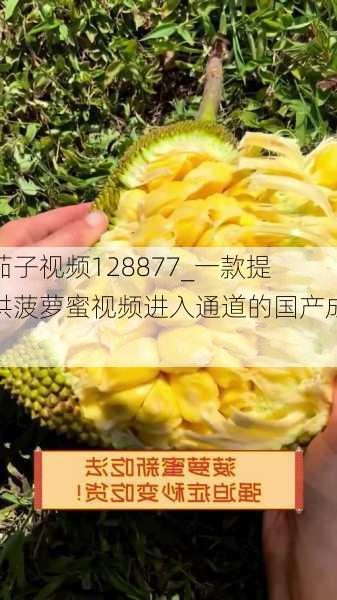 茄子视频128877_一款提供菠萝蜜视频进入通道的国产成_