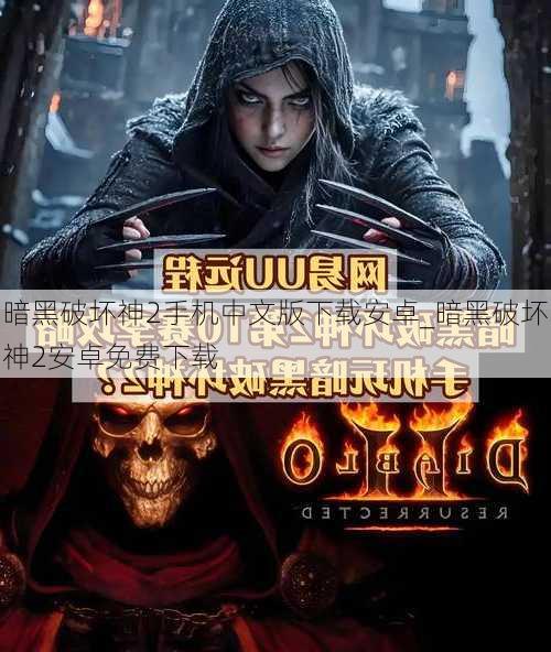 暗黑破坏神2手机中文版下载安卓_暗黑破坏神2安卓免费下载