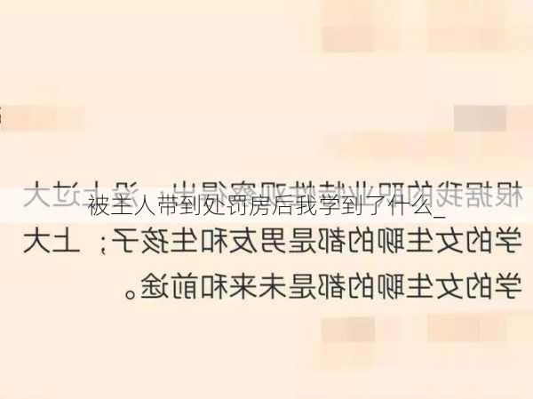 被主人带到处罚房后我学到了什么_