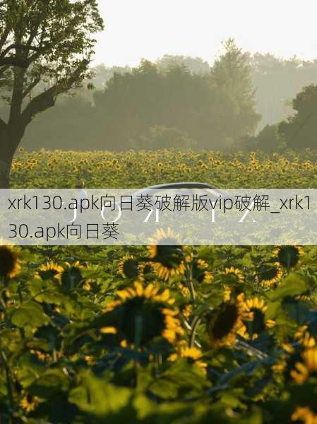 xrk130.apk向日葵破解版vip破解_xrk130.apk向日葵
