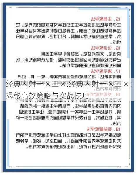 经典内射一区三区,经典内射一区三区：揭秘高效策略与实战技巧