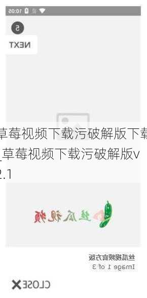 草莓视频下载污破解版下载_草莓视频下载污破解版v2.1
