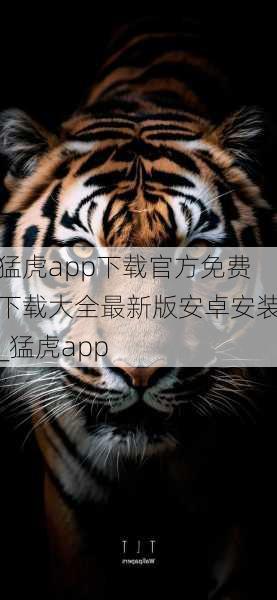 猛虎app下载官方免费下载大全最新版安卓安装_猛虎app