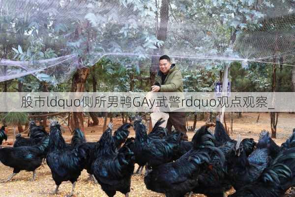 股市ldquo侧所男鸭GAy武警rdquo观点观察_