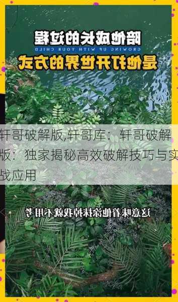 轩哥破解版,轩哥库：轩哥破解版：独家揭秘高效破解技巧与实战应用