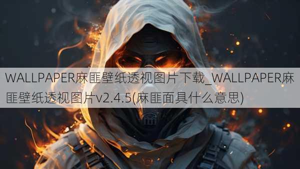 WALLPAPER麻匪壁纸透视图片下载_WALLPAPER麻匪壁纸透视图片v2.4.5(麻匪面具什么意思)