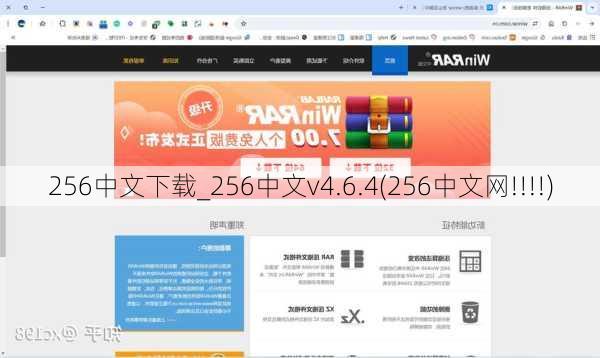 256中文下载_256中文v4.6.4(256中文网!!!!)