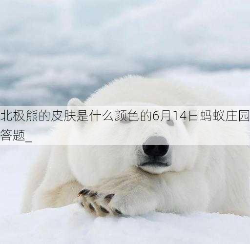 北极熊的皮肤是什么颜色的6月14日蚂蚁庄园答题_