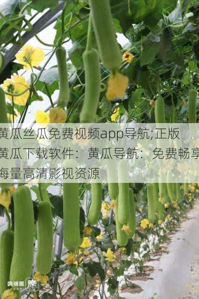 黄瓜丝瓜免费视频app导航;正版黄瓜下载软件：黄瓜导航：免费畅享海量高清影视资源