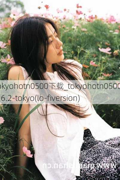 tokyohotn0500下载_tokyohotn0500v6.6.2-tokyo(lo-fiversion)
