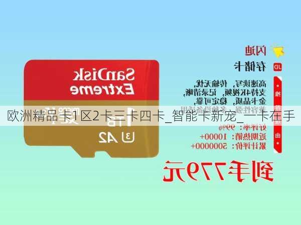 欧洲精品卡1区2卡三卡四卡_智能卡新宠_一卡在手