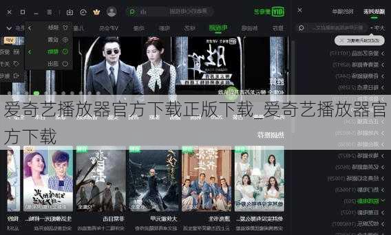爱奇艺播放器官方下载正版下载_爱奇艺播放器官方下载