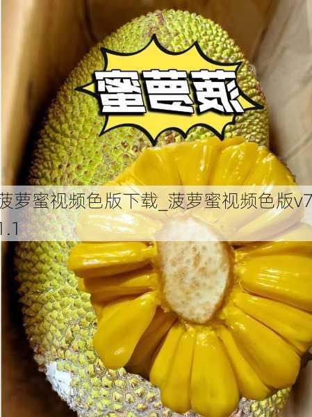菠萝蜜视频色版下载_菠萝蜜视频色版v7.1.1