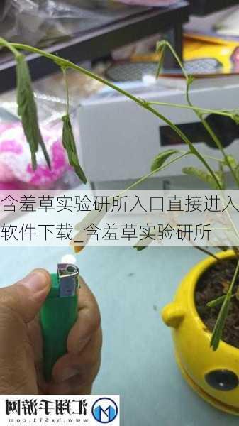 含羞草实验研所入口直接进入软件下载_含羞草实验研所