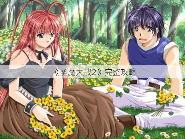 《圣魔大战2》完整攻略