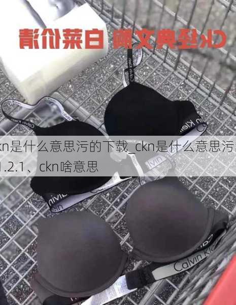 ckn是什么意思污的下载_ckn是什么意思污的v1.2.1、ckn啥意思
