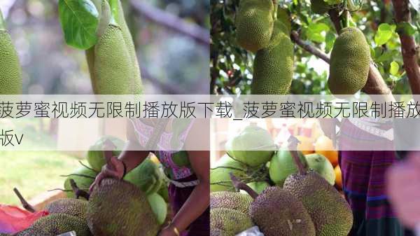 菠萝蜜视频无限制播放版下载_菠萝蜜视频无限制播放版v