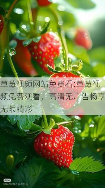 草莓视频网站免费看;草莓视频免费观看，高清无广告畅享无限精彩