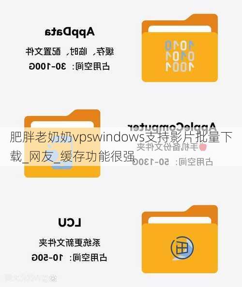 肥胖老奶奶vpswindows支持影片批量下载_网友_缓存功能很强