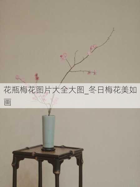 花瓶梅花图片大全大图_冬日梅花美如画