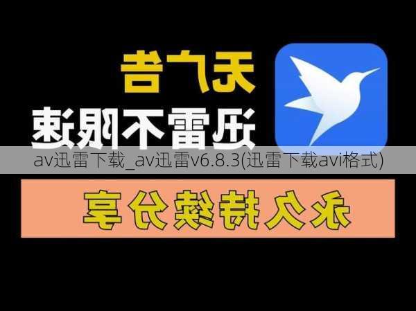 av迅雷下载_av迅雷v6.8.3(迅雷下载avi格式)