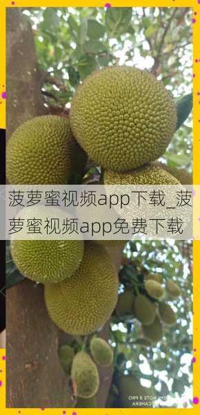 菠萝蜜视频app下载_菠萝蜜视频app免费下载
