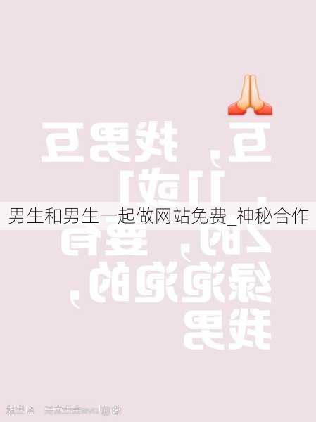 男生和男生一起做网站免费_神秘合作