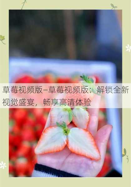 草莓视频版—草莓视频版：解锁全新视觉盛宴，畅享高清体验
