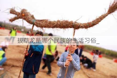 拔草龙是哪个民族的生活习俗_