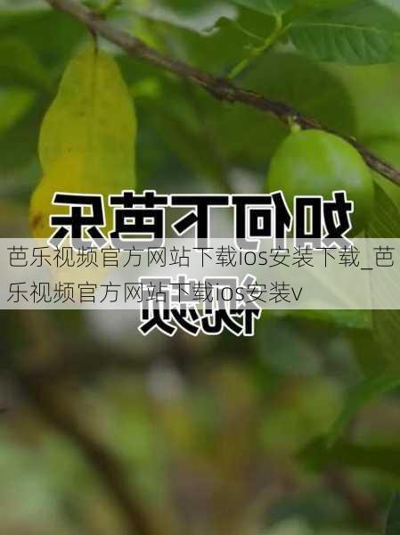 芭乐视频官方网站下载ios安装下载_芭乐视频官方网站下载ios安装v
