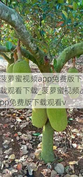 菠萝蜜视频app免费版下载观看下载_菠萝蜜视频app免费版下载观看v