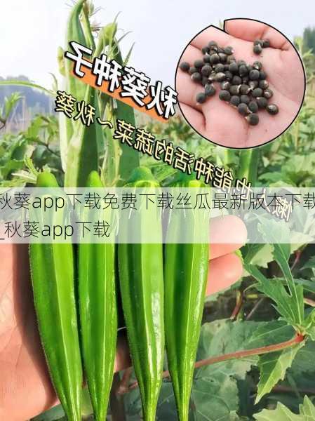 秋葵app下载免费下载丝瓜最新版本下载_秋葵app下载